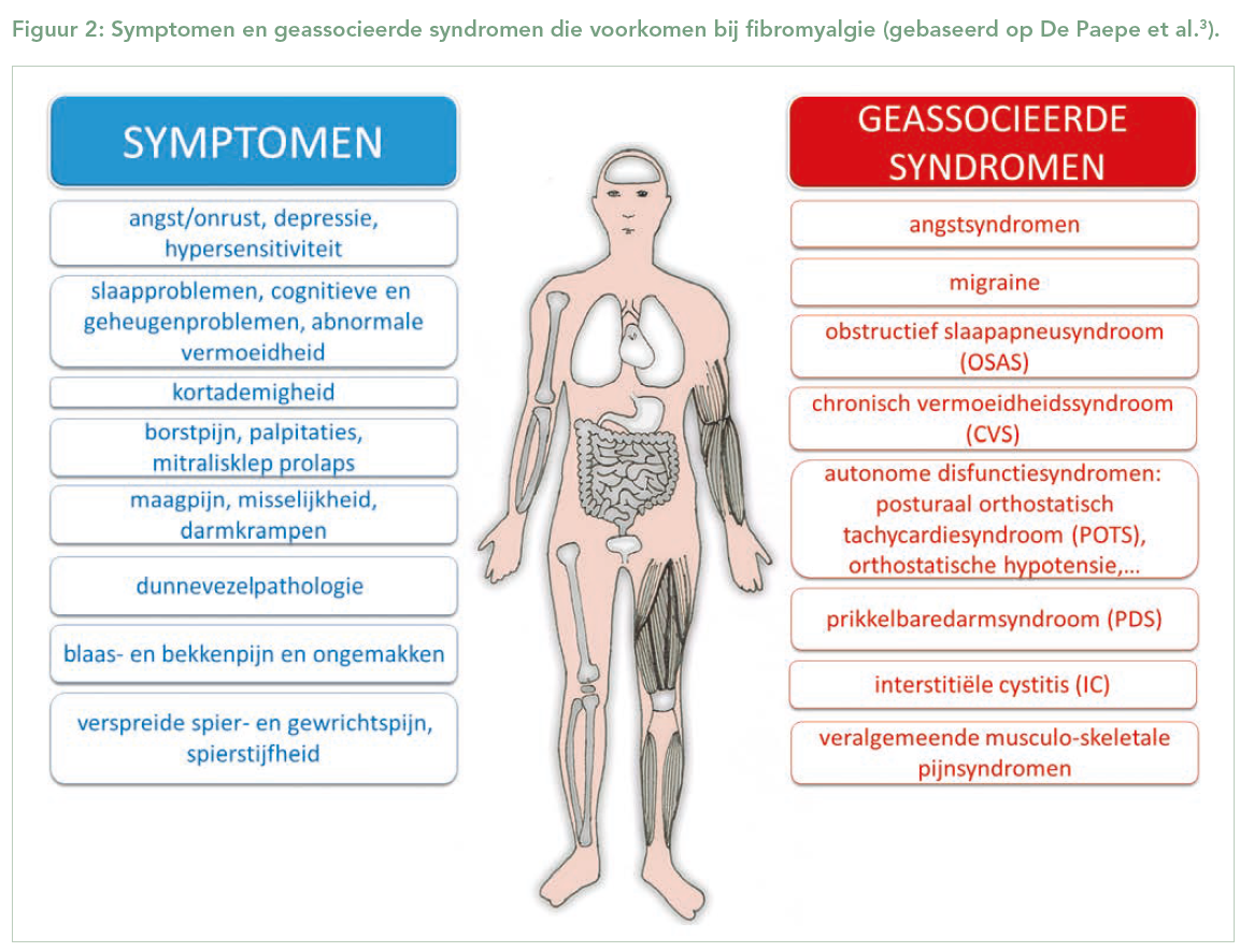 Symptomen en geassocieerde syndromen die voorkomen bij fibromyalgie (gebaseerd op De Paepe et al.3